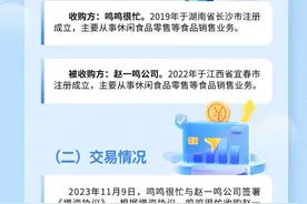一图读懂｜湖南零食很忙商业连锁有限公司收购宜春赵一鸣食品科技有限公司股权违法实施经营者集中案行政处罚决定书图片