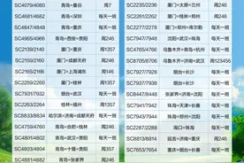 多个航班从青岛出发！山航夏秋航季新开35条航线图片