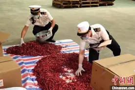 “中国辣椒之乡”云南丘北辣椒“火辣”海外市场图片