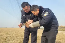 一线传真｜红隼“落难” 民警暖心救助图片