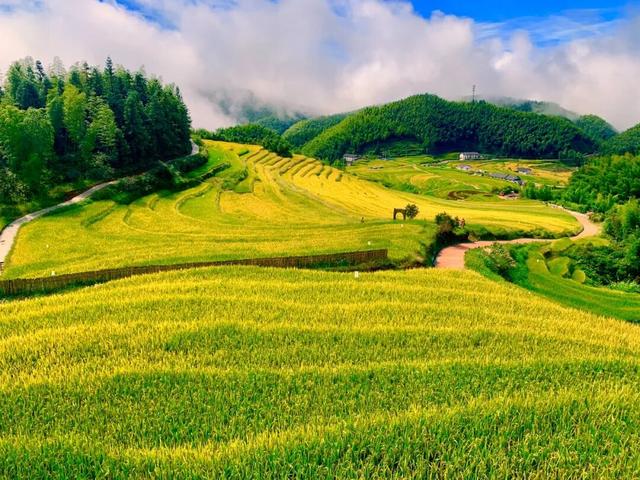明日开播！云端探“堡”·上堡有请，“赣潮C位战”百县直播崇义首秀来袭
