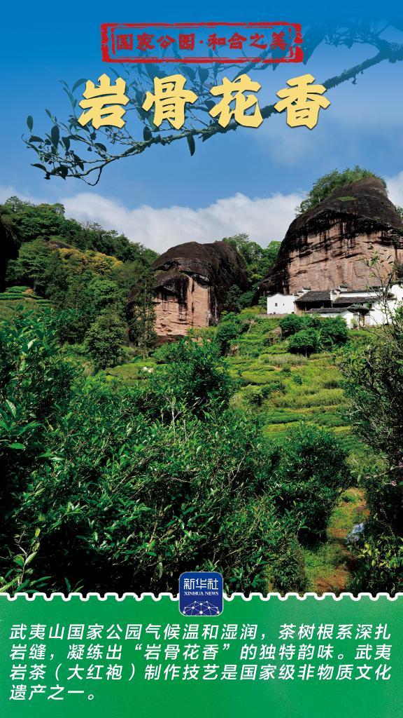 和合之美丨武夷山国家公园：“会呼吸”的诗意乐园