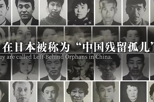 《生万物》收视热度双高
