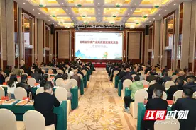 为橘而聚 湖南省柑橘产业高质量发展交流会在石门举行图片
