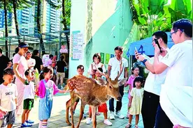 开学了！惠州大亚湾各校迎新仪式感“拉满”图片