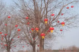 献给我的故乡（作者：侯桂珍）图片