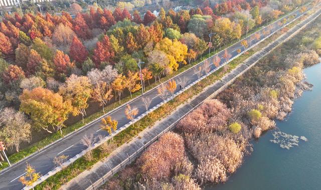 江苏东海：湿地公园冬景绚丽