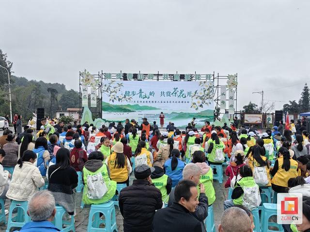 油茶花开映富顺，文旅融合启新篇——2025年富顺县琵琶镇第六届油茶花文化旅游活动启幕
