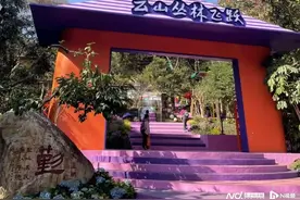 广州5A级旅游景区出新出彩！“飞跃”云山丛林过新年图片