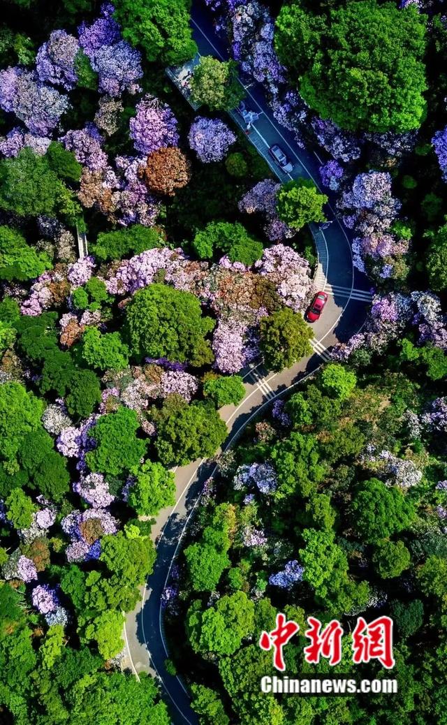 人这一辈子，一定要去一趟深圳！