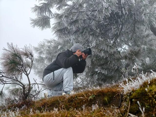 美如童话！融水尧告牧场迎来今冬首场雾凇