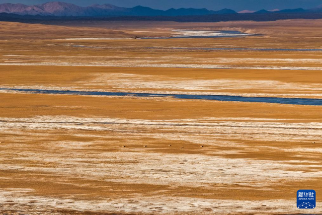 走进阿尔金山 镜遇秘境昆仑