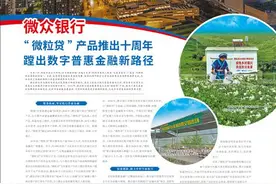 微众银行  “微粒贷”产品推出十周年  蹚出数字普惠金融新路径图片