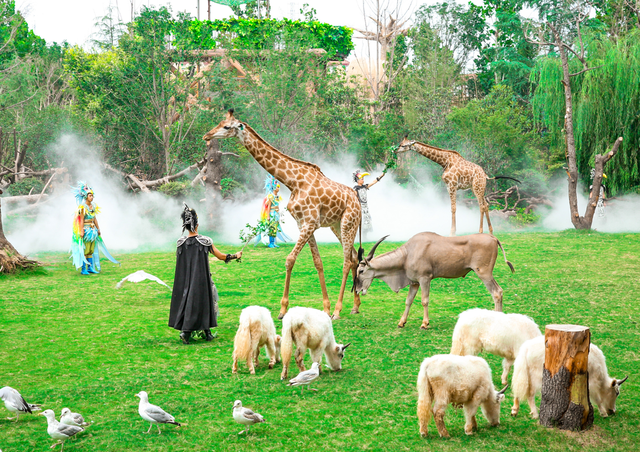 从“网红”到“长红” 解锁银基文旅的“破圈”之道