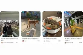 下下下下下下下下周，要过年啦！图片