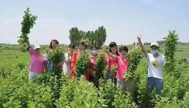 “她视角”带您看家乡美景！