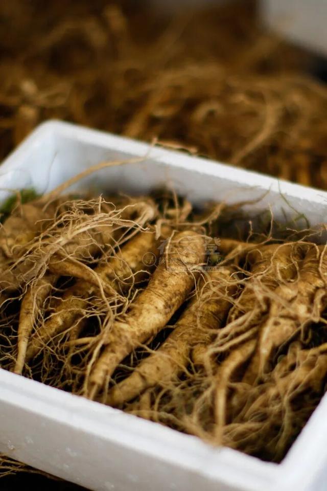 乘着高铁游威海 | 千里山海，等你！