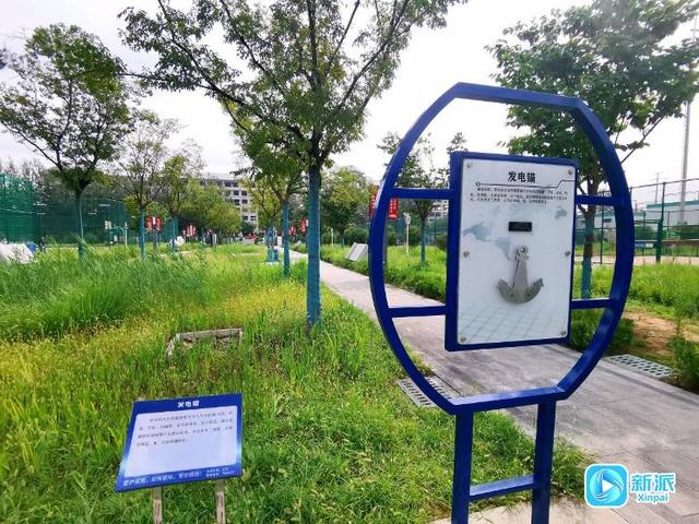 遛娃健身学知识！潍坊这个公园太“全能”