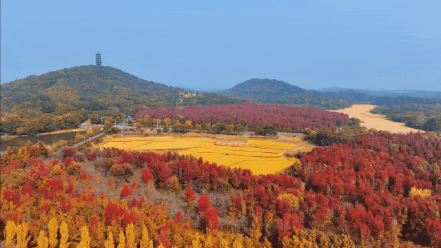 这是今晚的高淳水慢城！