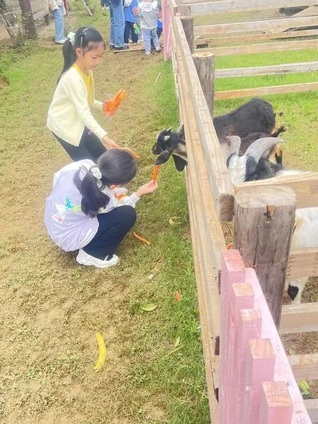 完美收官！这些瞬间都是鄂州独家记忆