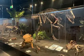 乘“封”而上过龙年｜恐龙探险、民俗市集、冰雪奇景……成都游客出游新选择图片