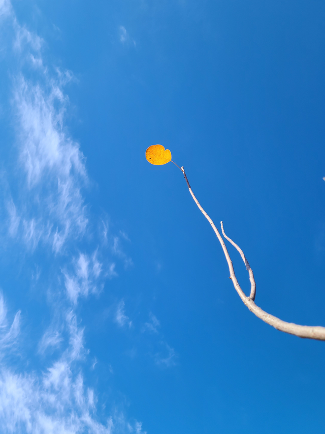 初冬北京，碧水蓝天美景好治愈