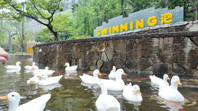 江宁“疯狂动物城”