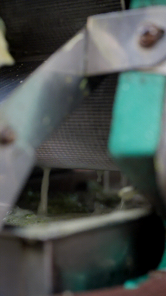 最新消息-听说泉州入选“天下美食之都”！漳州送去一桌美食庆祝(5)