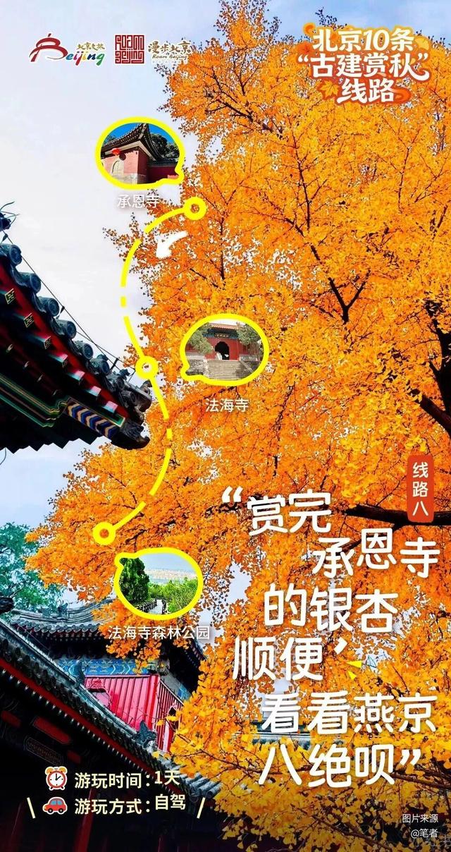 古建赏秋，才是北京的秋日限定
