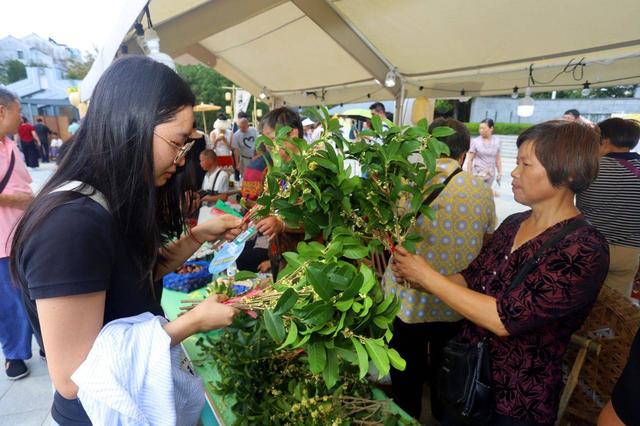 江苏苏州：“花漾苏州 桂香满城”桂花市集开市