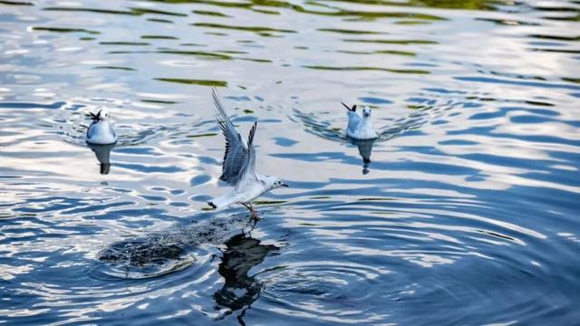 昭儿～来看滇超联赛 要在昆明耍几天呢噶