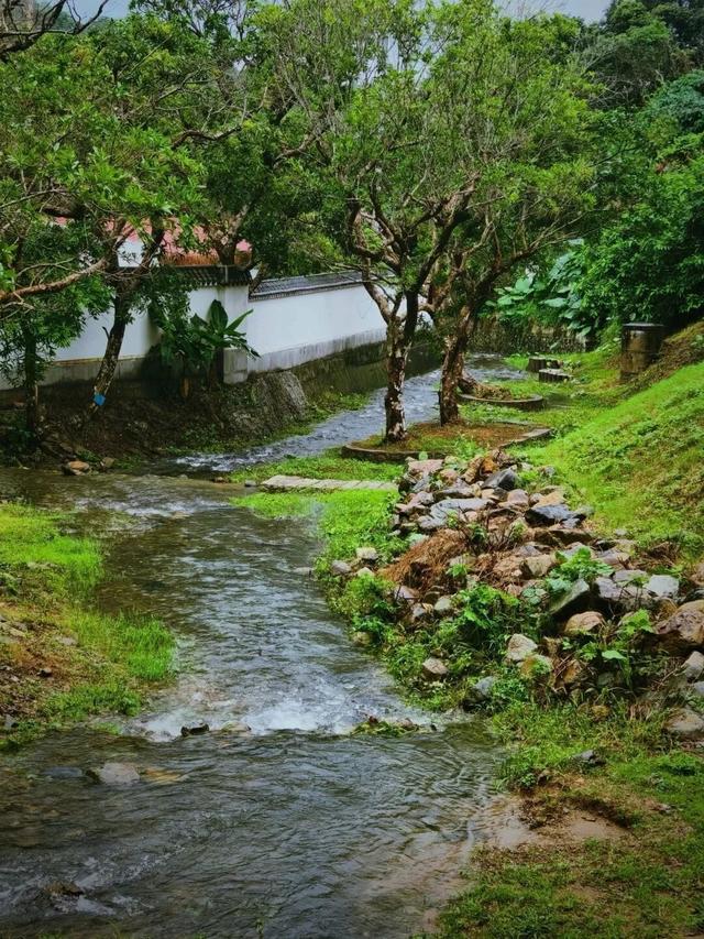 南方观察｜不止滨海民宿，深圳正在生长“山居民宿带”