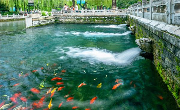 秋色满城 历下有约丨2025天下第一泉风景区国庆中秋游园会即将欢乐开启