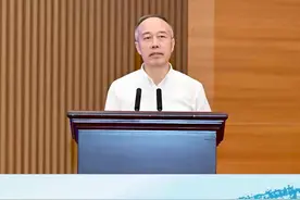 华侨城集团张振高：每一代旅游创新产品都从大湾区落地再复制到全国图片