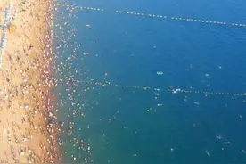 快来报名！青岛第一海水浴场征集网红打卡点创意设计图片