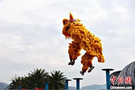 广西梧州举办狮王争霸赛 舞狮人高桩秀绝技图片