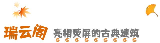 亮相央视！洛阳这些赏秋地，太美！