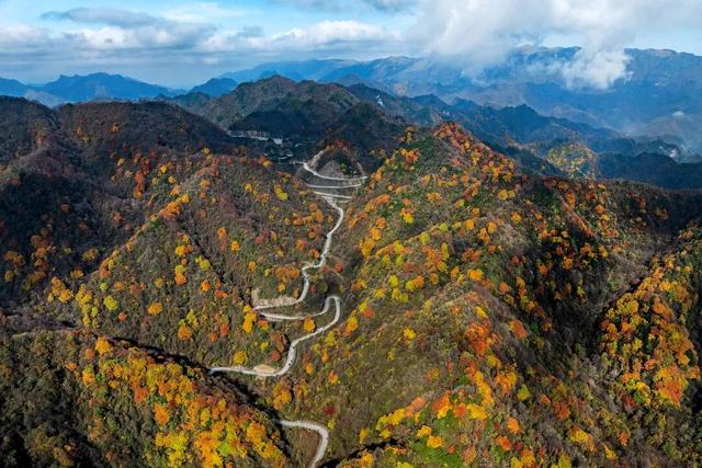 追逐秋色三千里：从北疆到徽州