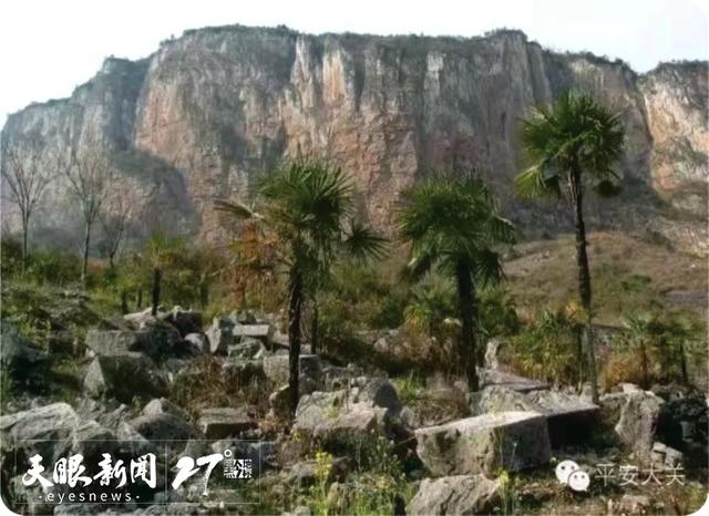 桥瞰黔景·世代通达 | 鸭池河七桥迭代破险阻