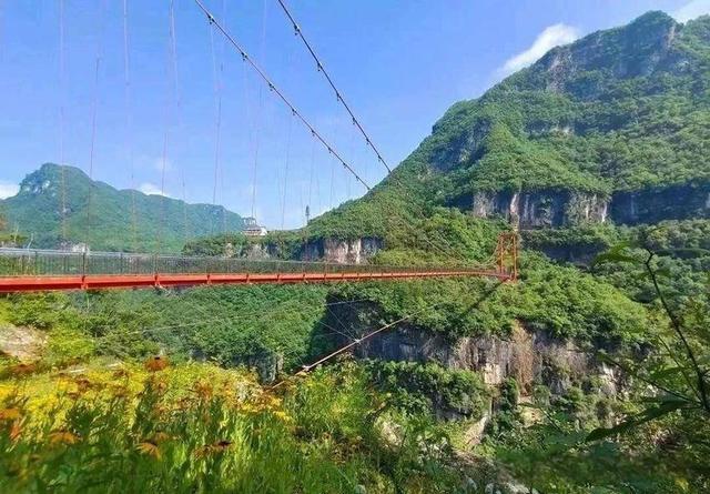 保康：472.5万人次打卡！文旅康养交出亮眼“成绩单”