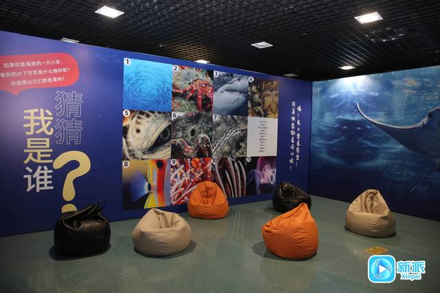 元旦去哪玩？潍坊市科技馆藏着一片 “海底世界”