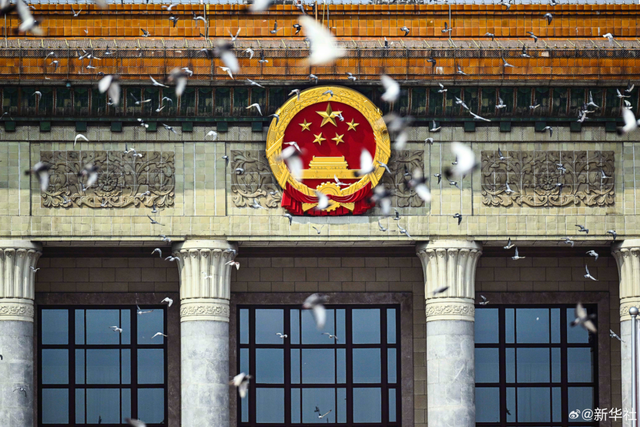 “阅兵结束10多分钟后，第一批放飞的和平鸽就到家洗澡了”