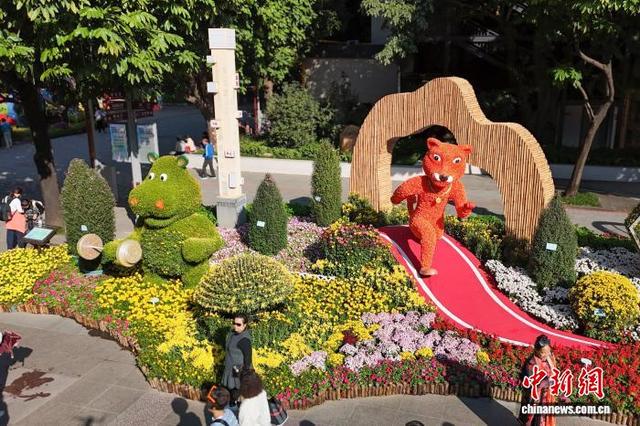 第66届羊城菊会迎来最佳观赏期