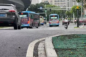 雨后枯枝掉落存隐患，福州园林部门：两种方式反映！图片