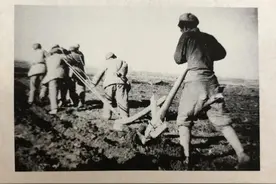 【人民公安从这里走来】一张身份证的变迁 见证兵团第三师公安户政业务的发展图片