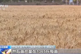农学生成长为新农人！让研究成果产量 还要去学经营图片