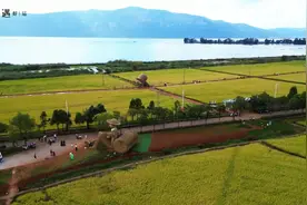 【开屏早知道】母女俩双双确诊，严重可致死！家有这个的快自查图片