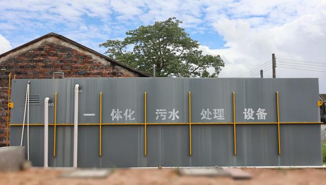 小斗湖鳘鱼胶效果 2026年斗湖鱼胶的功效与作用