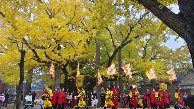 赵立坚微博打call日照银杏古树!附高清大图+进阶玩法!