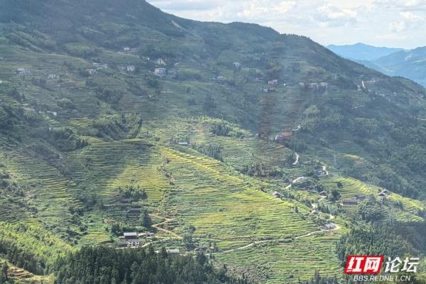 全球最长高山索道开通！解锁“云端赏梯田”新体验，秘境不再难寻
